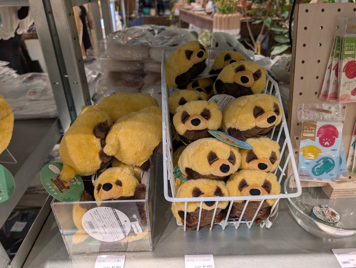 いぇ〜いっ🦡 tweet media