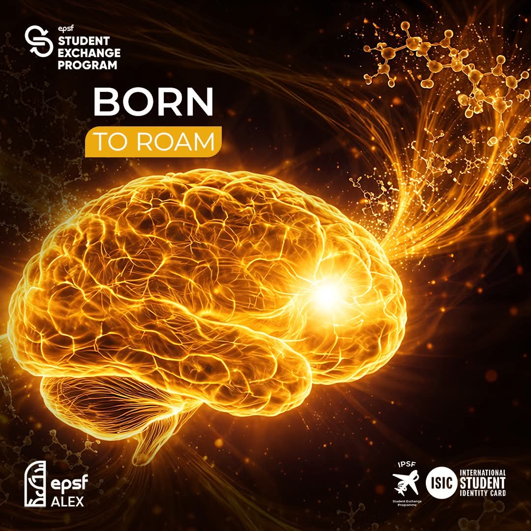 epsfalex's tweet photo. STOP SCROLLING ‼���

That urge to explore and try new things? Maybe it’s your.

“Explorebellum” kicking in 🧠
Ready to test it? Stay tuned for SEP 
Are you born to explore? 🤔

#SEP
#BornToExplore
#EPSF_Alex https://t.co/Tgfp8I7ZGq