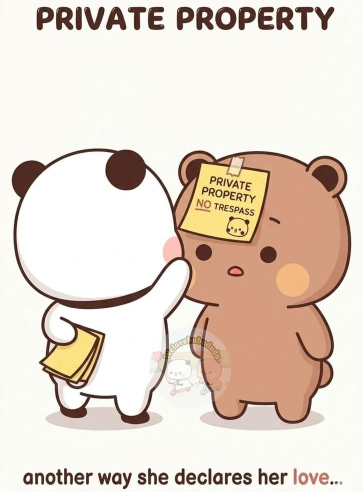 Roses 🌹 tweet media