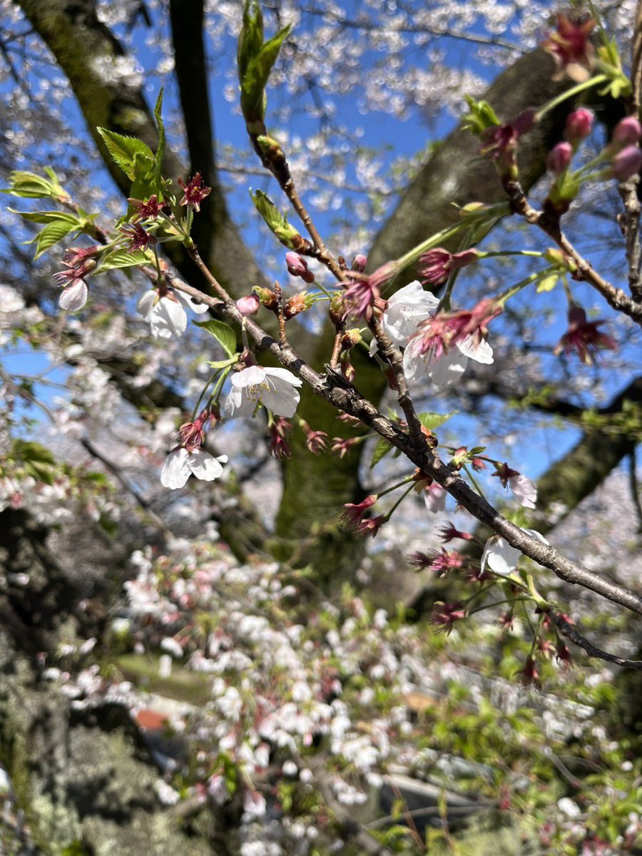 good morning N°５ tweet media