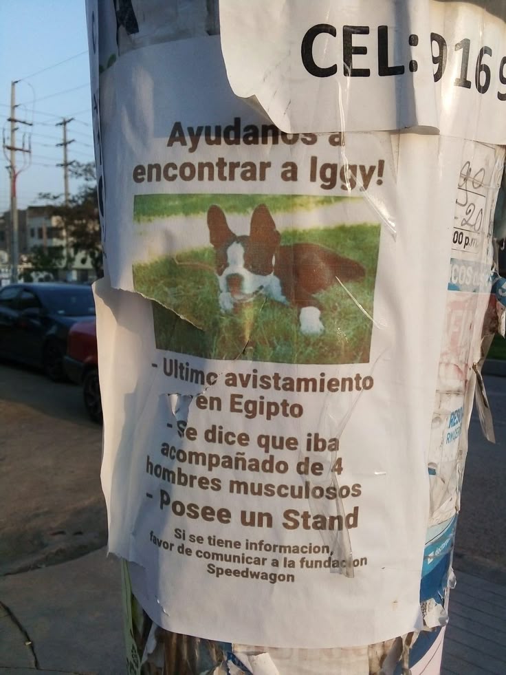 cuenta que te avisa cuando se anuncie jojolion tweet media