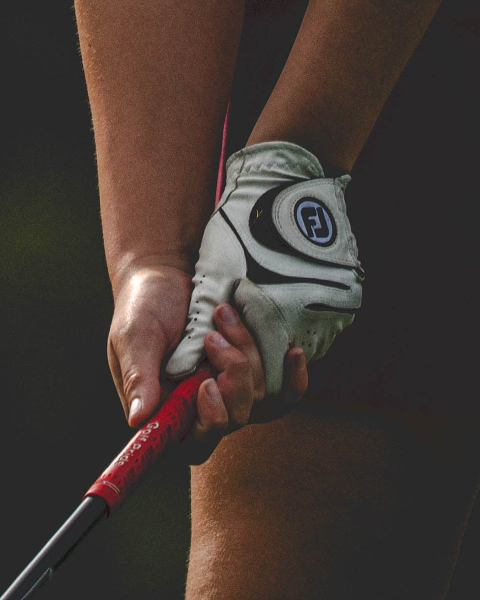 BCUgolf's tweet photo. Details are Everything. 

#𝙃𝙖𝙞𝙡𝙒𝙞𝙡𝙙𝙘𝙖𝙩𝙨 | #𝙋𝙧𝙚𝙮𝙏𝙤𝙜𝙚𝙩𝙝𝙚𝙧 https://t.co/nTMg17plAR