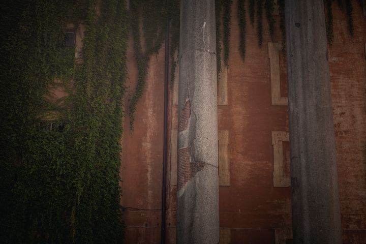 bhagwatib's tweet photo. Art of the Day! "The old wall". Buy at: https://t.co/p3gsMOUl4m https://t.co/4NeC6VoDlO