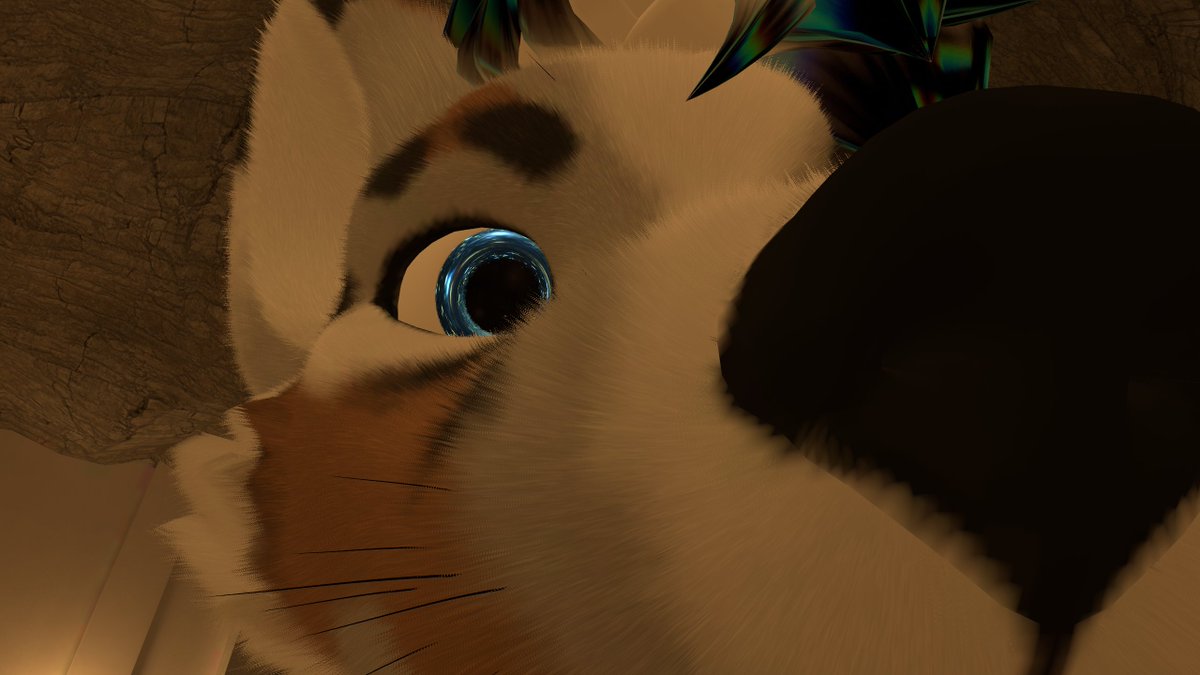Stimky Dog tweet media