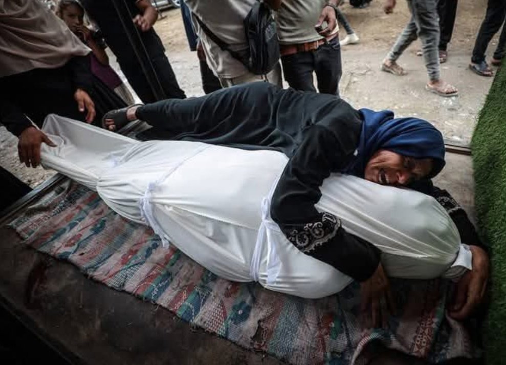 حليمة tweet media