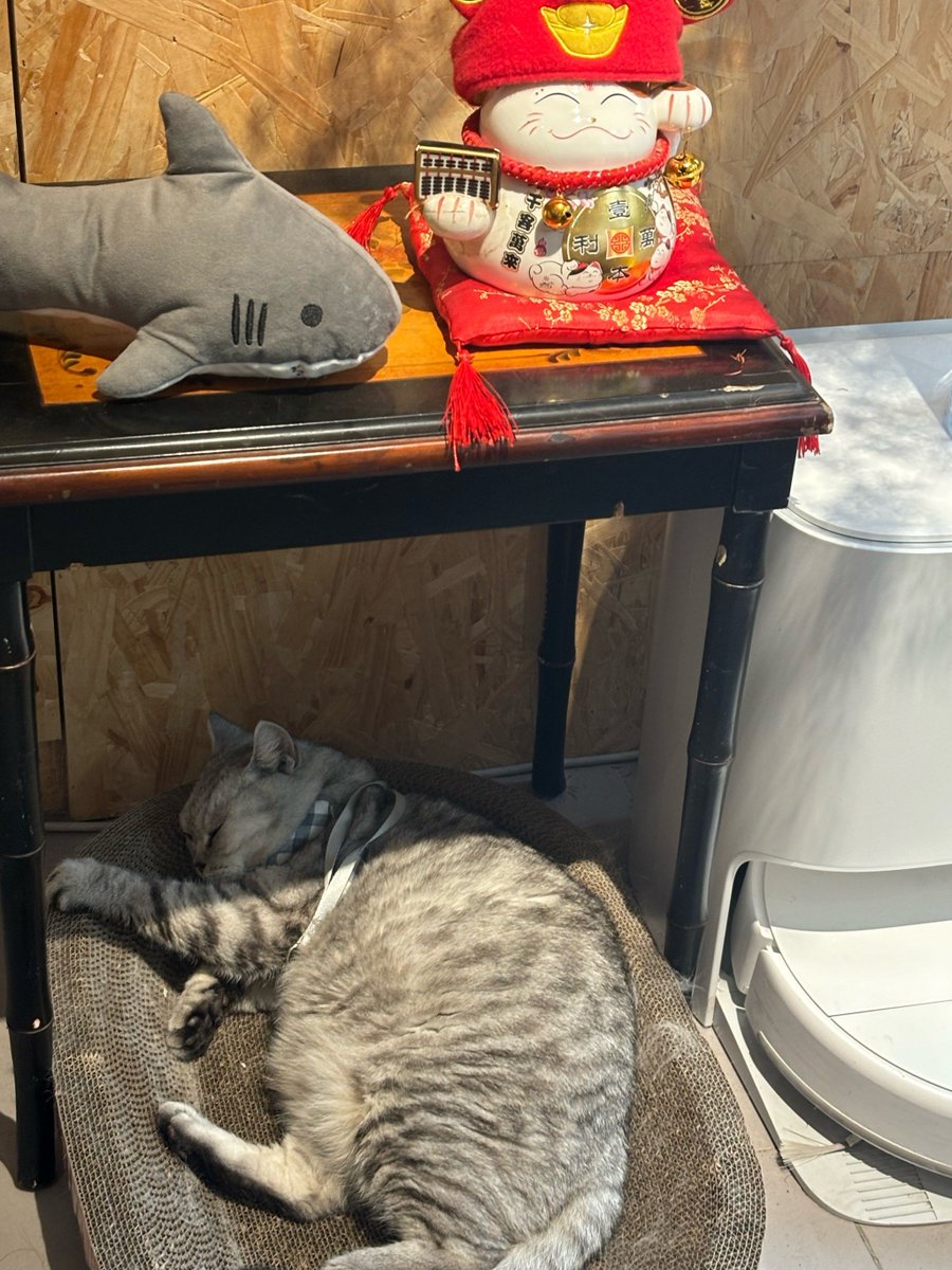 鶴岡真広 tweet media