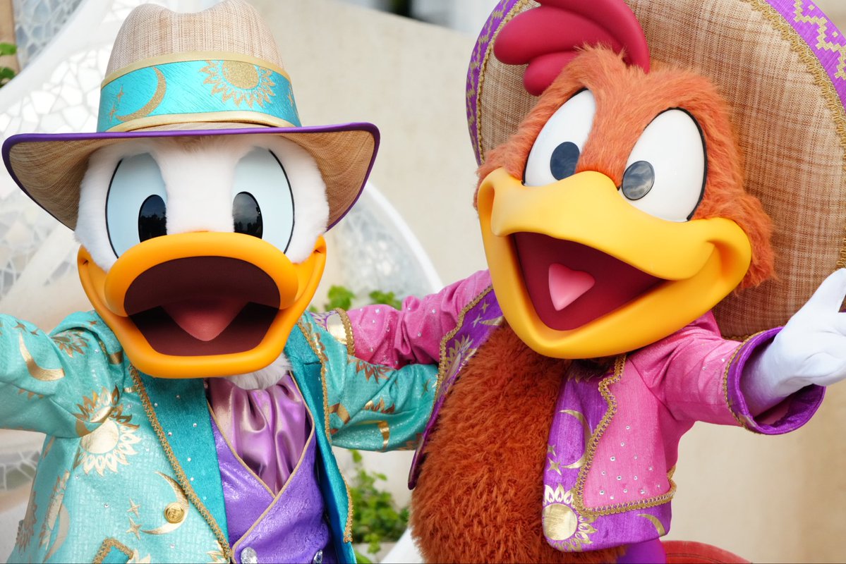 アイギス tweet media