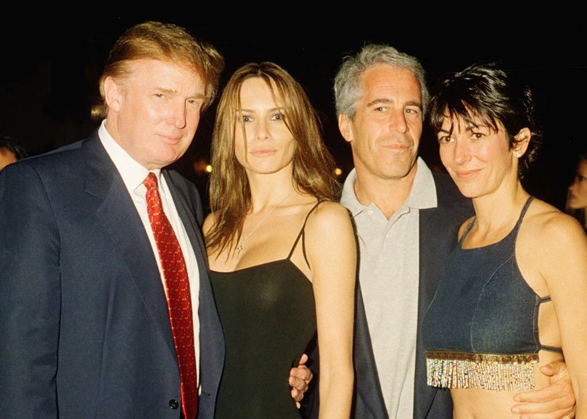 Mr. Whale tweet media