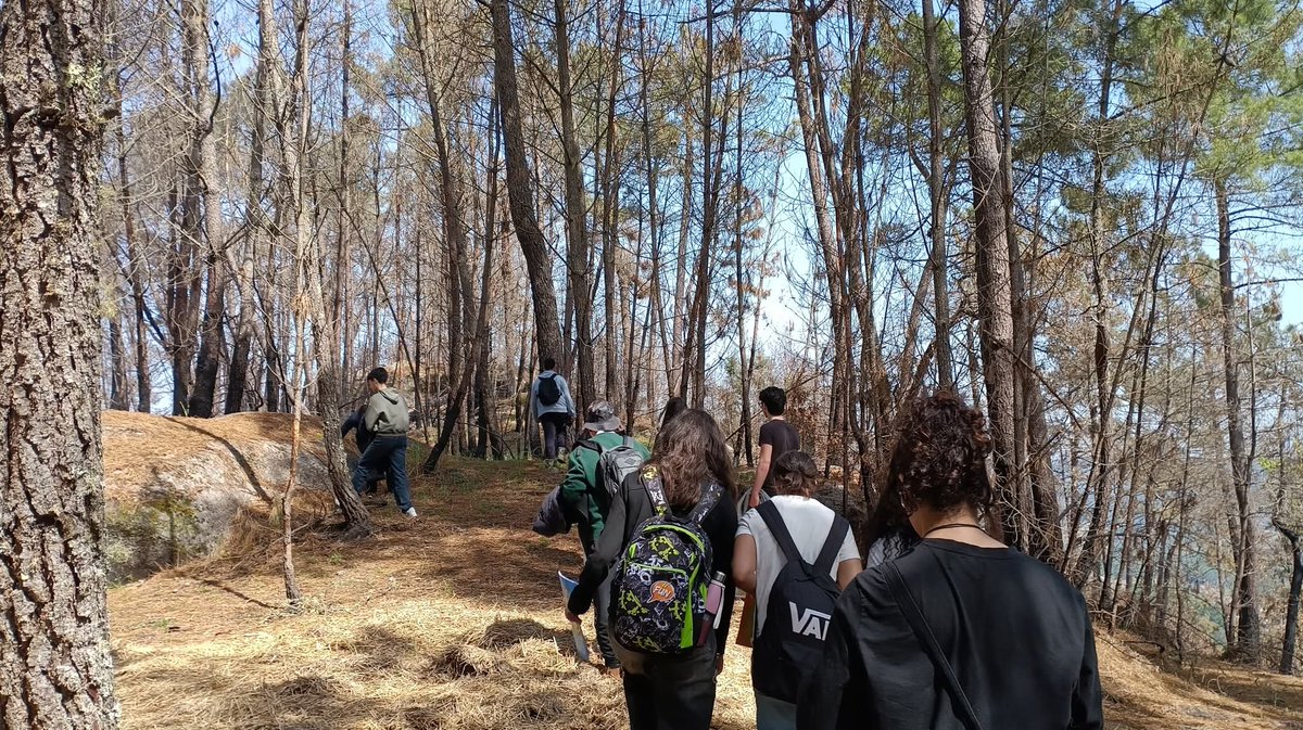 Ridimoas's tweet image. 🟢 Hai uns días achegáronse a Ridimoas desde o IES Manuel Chamoso Lamas, para coñeceren os traballos de conservación e o estado de rexeneración do bosque. 🐾🌿💚