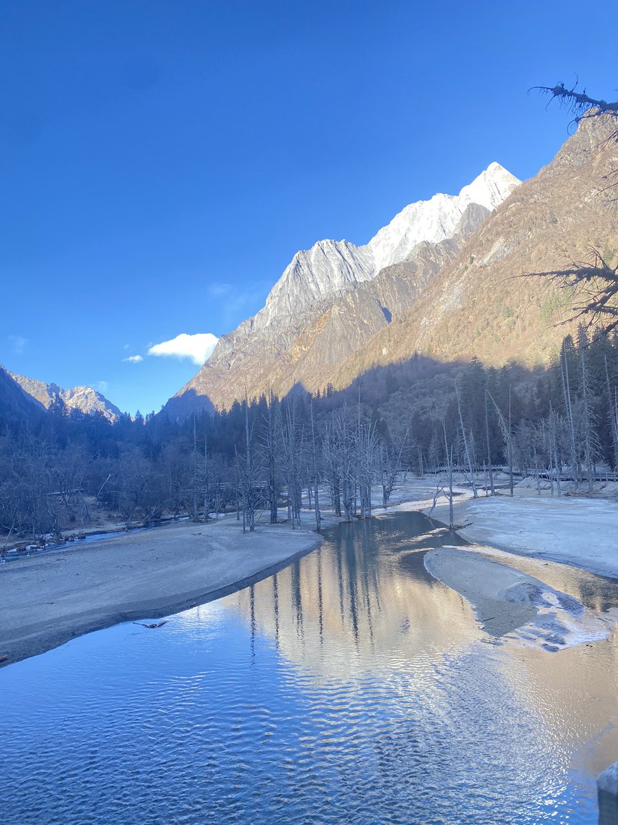 猫猫勇士 🏄 tweet media