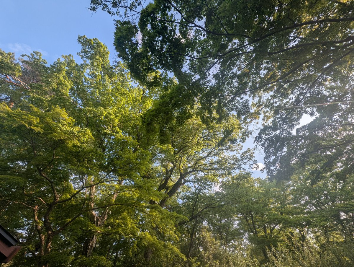 髙橋 慧 tweet media