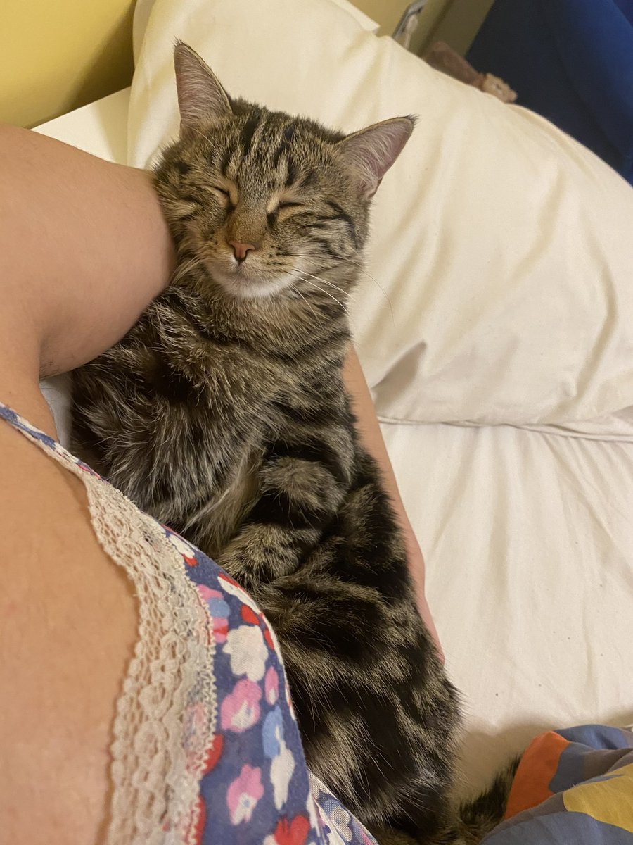 کلیر فریزر tweet media