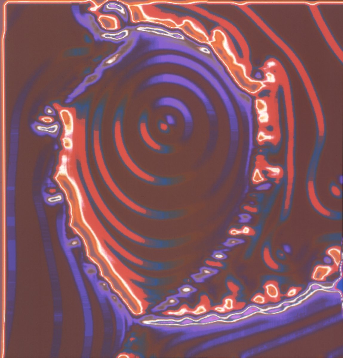 FLAMINGO 🦩 tweet media