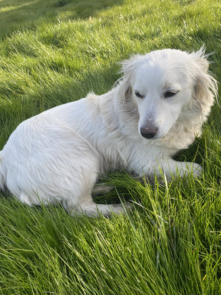 SELDA TÜRKDOĞAN tweet media