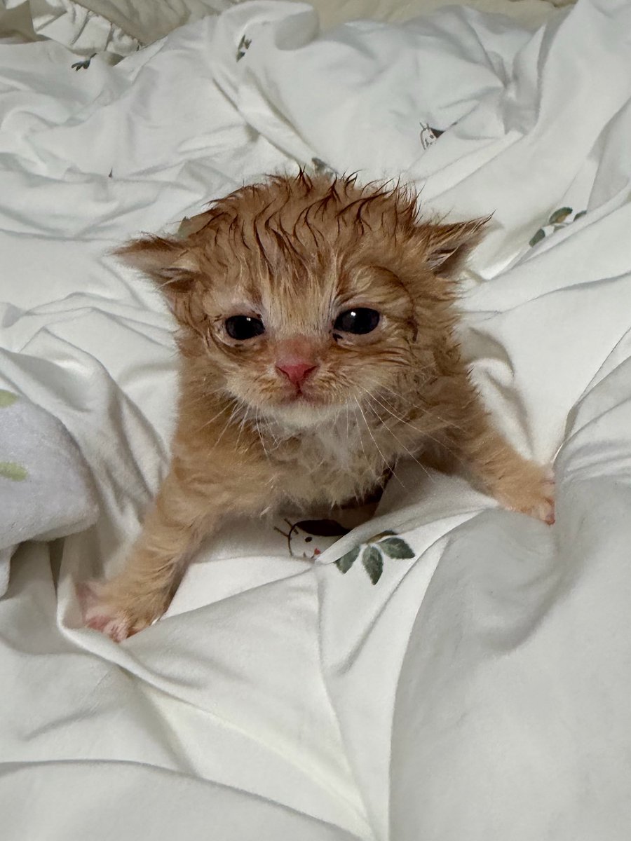 มาก่อย tweet media