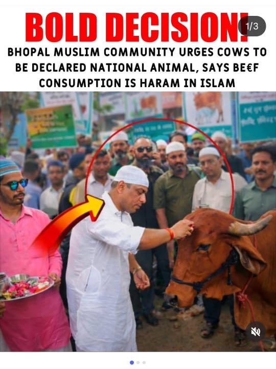 Blazzing Bud 🐦‍🔥 tweet media