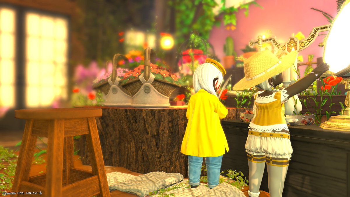 てんかい🐶でゅら tweet media