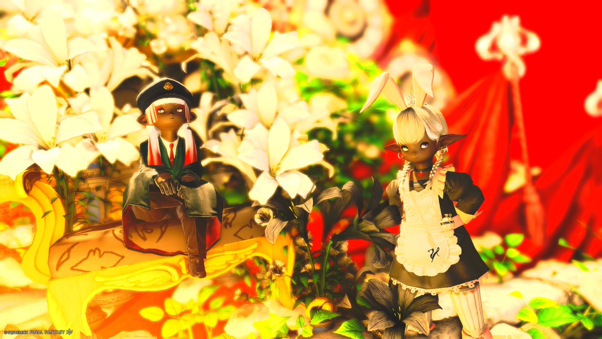 てんかい🐶でゅら tweet media