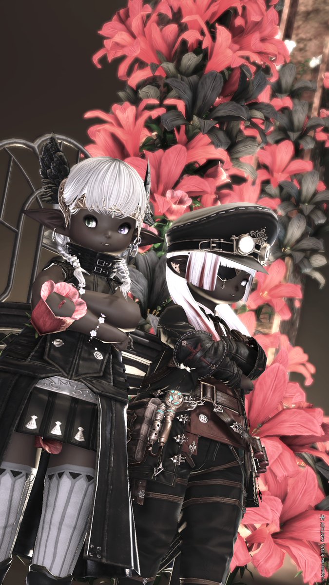 てんかい🐶でゅら tweet media