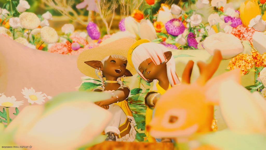 てんかい🐶でゅら tweet media