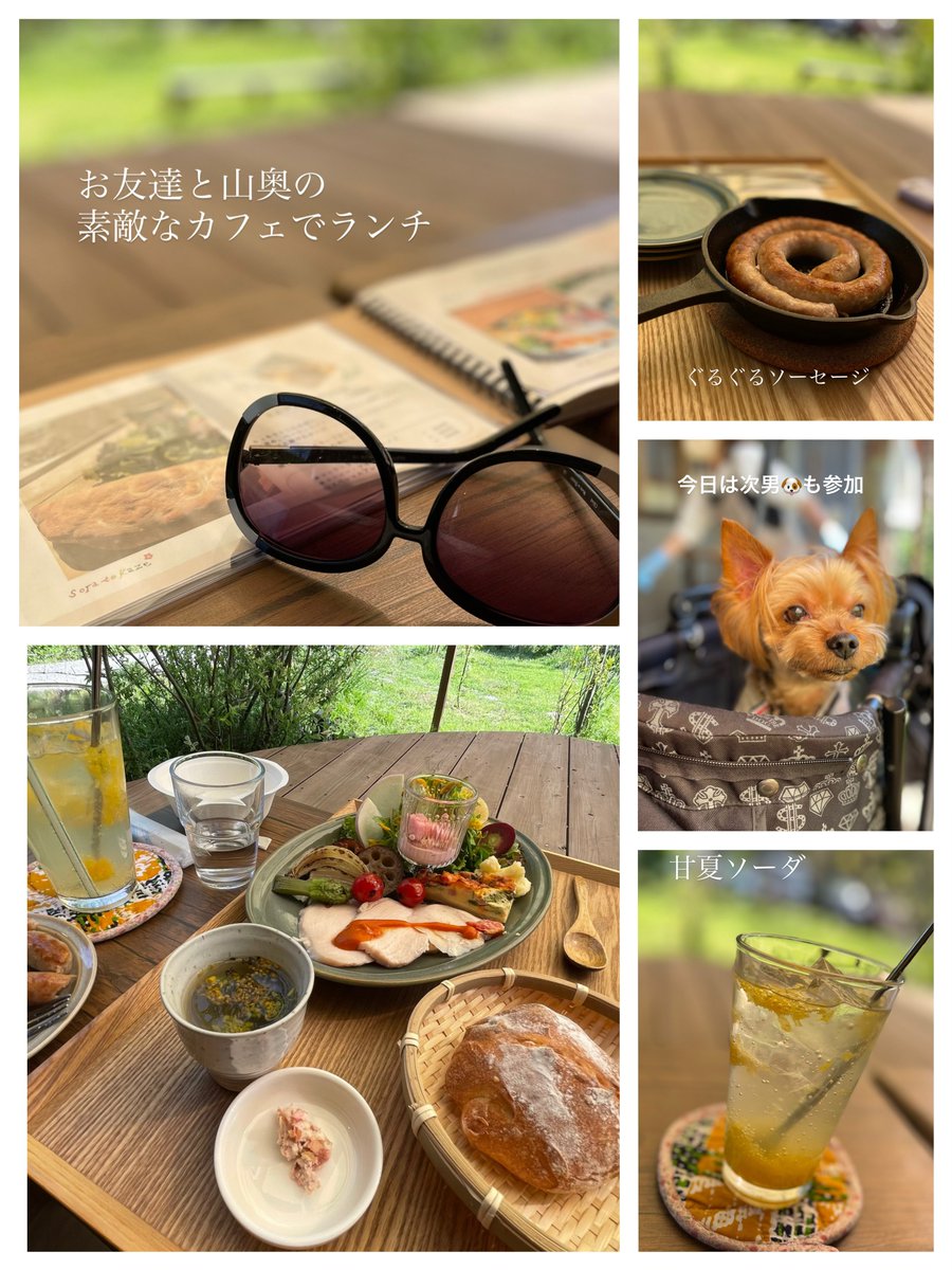 犬山イヌ代 tweet media