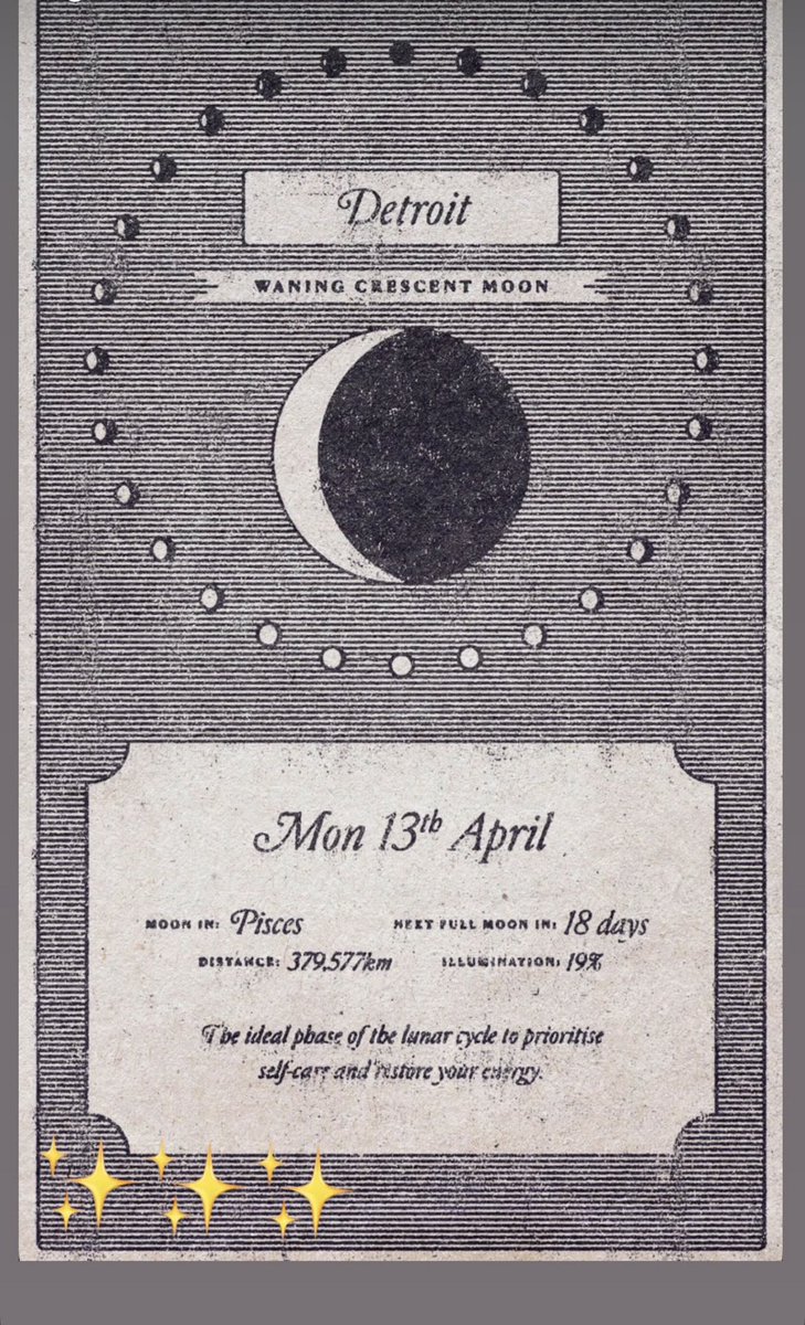 shana 🌊 tweet media