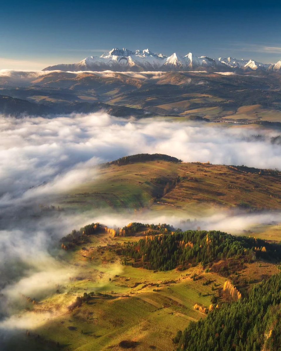 ReNature🦋 tweet media