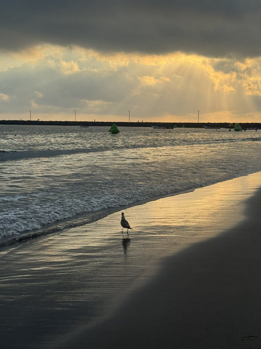 Teresa Mendoza 💜 tweet media