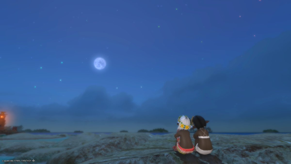 てんかい🐶でゅら tweet media