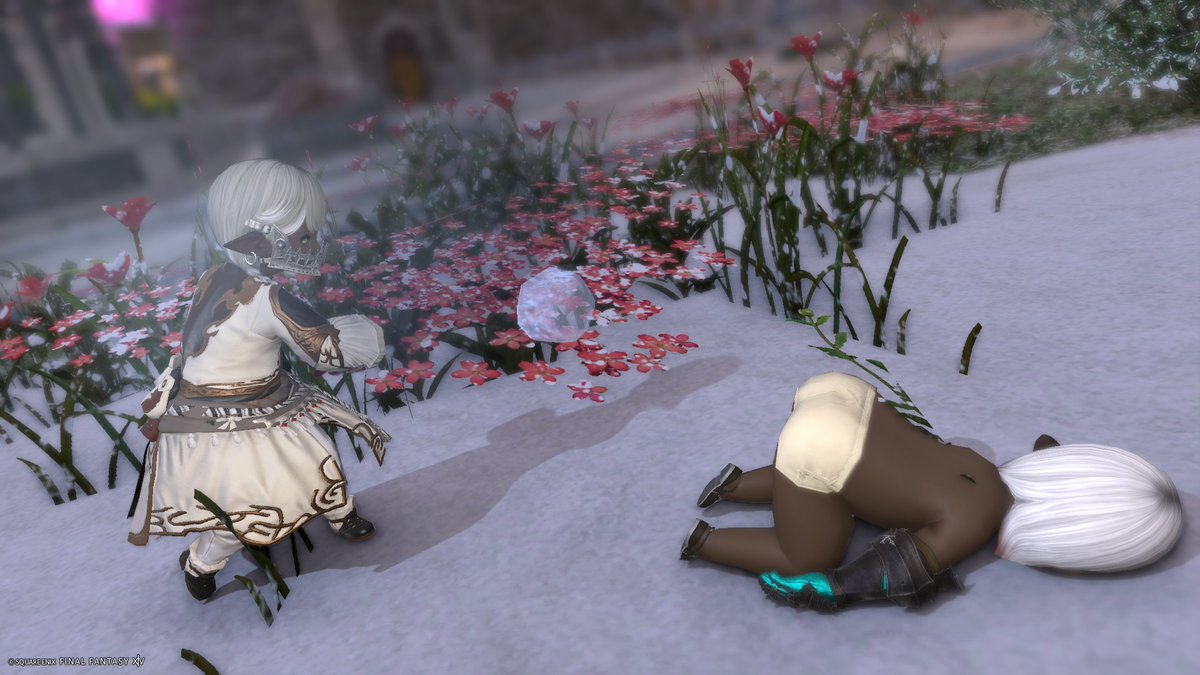 てんかい🐶でゅら tweet media