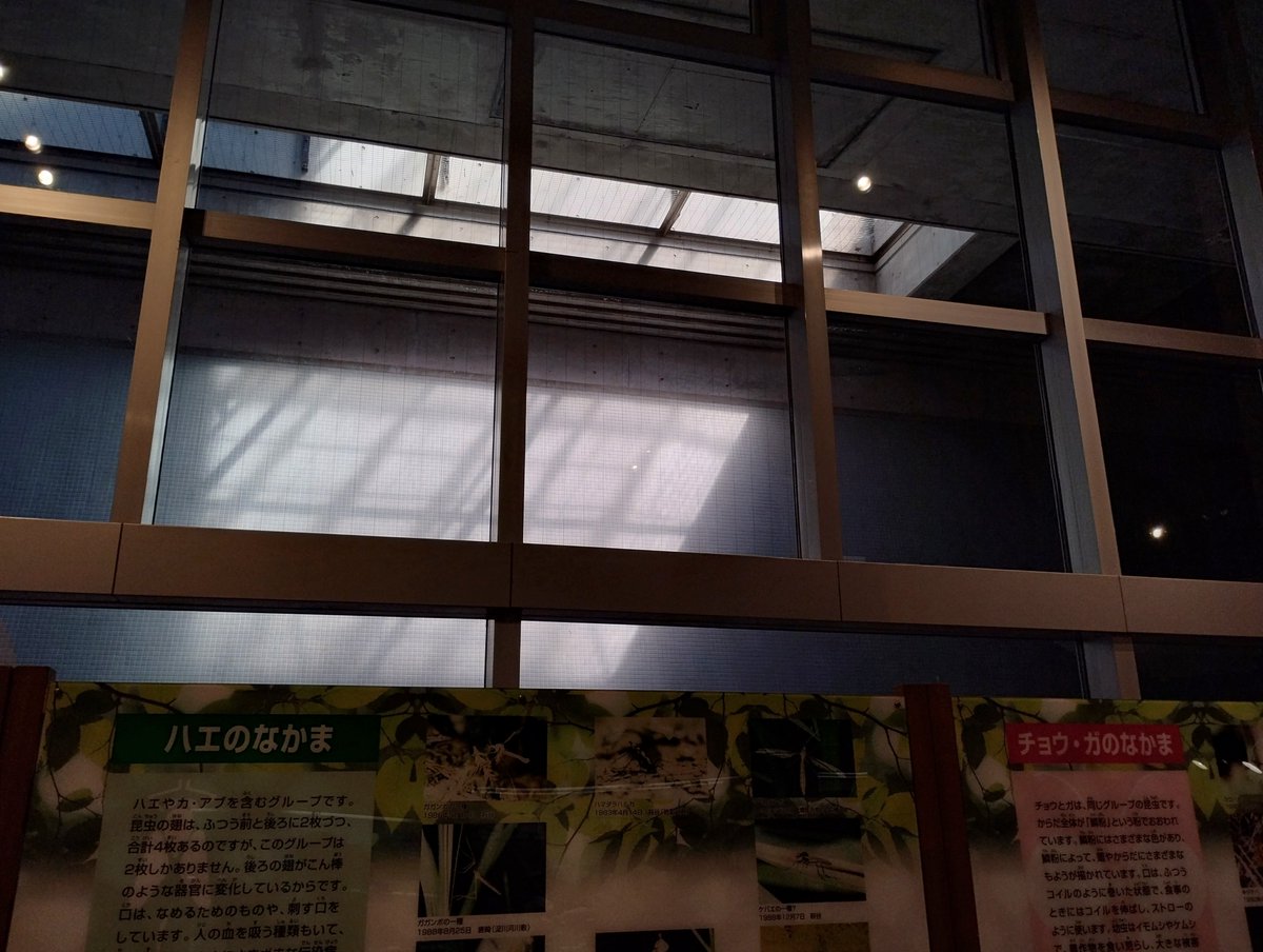 Bgdr_84's tweet image. 閉め出されている感じがする
 #微風ゾーン  #Liminalspace