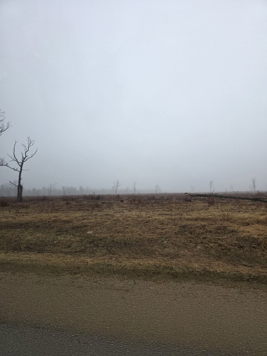 𝕿𝐇𝐄 𝕸𝐈𝐃𝐋𝐄𝐑 ✮ tweet media