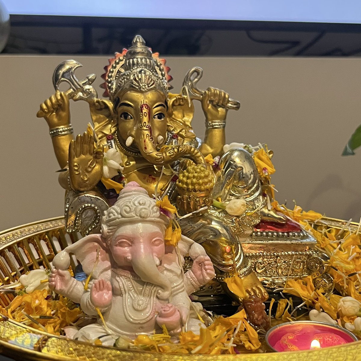 soin.tarot 🪷 tweet media