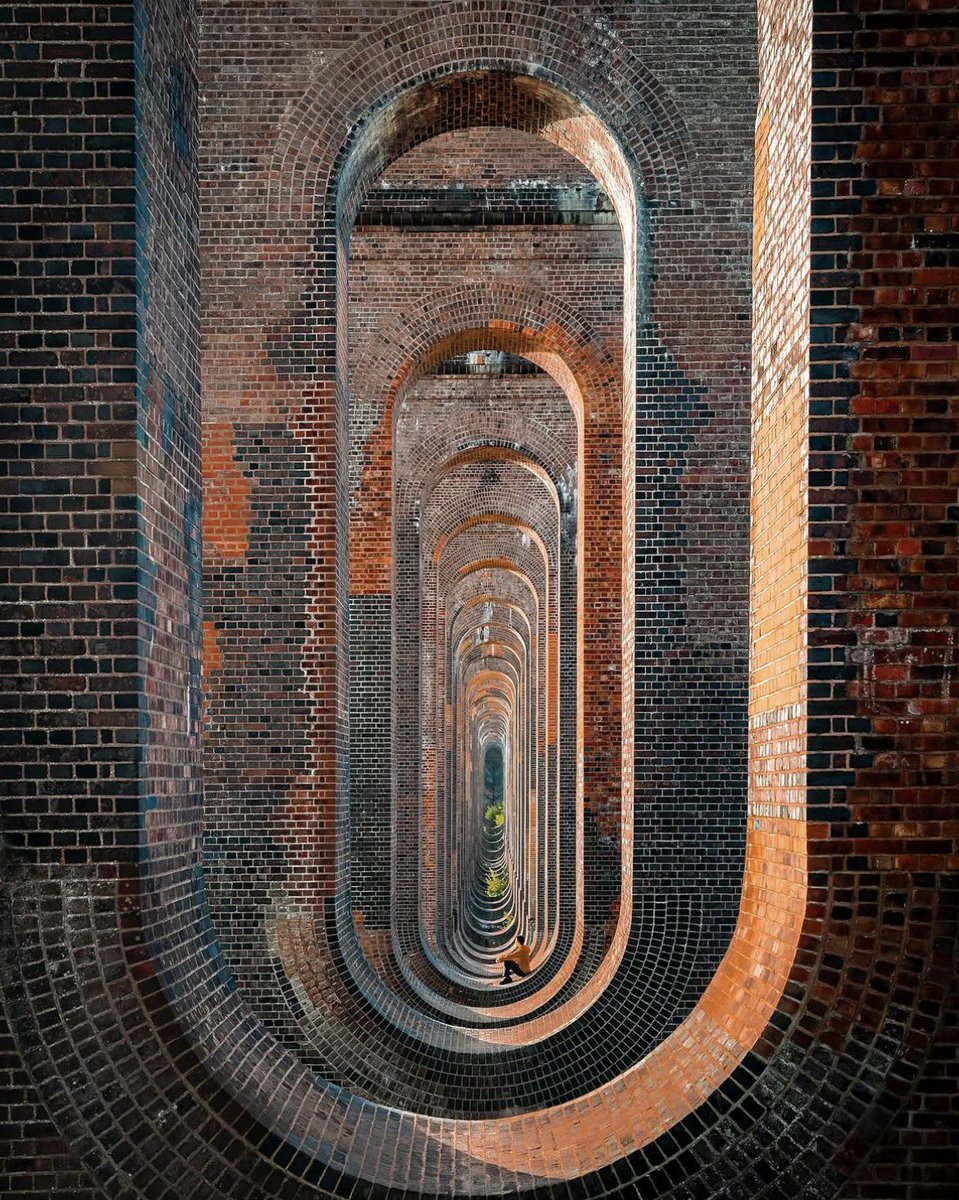 theglobalphotocommunity tweet media