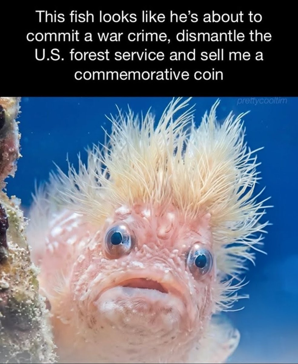 Joseph Ryan tweet media