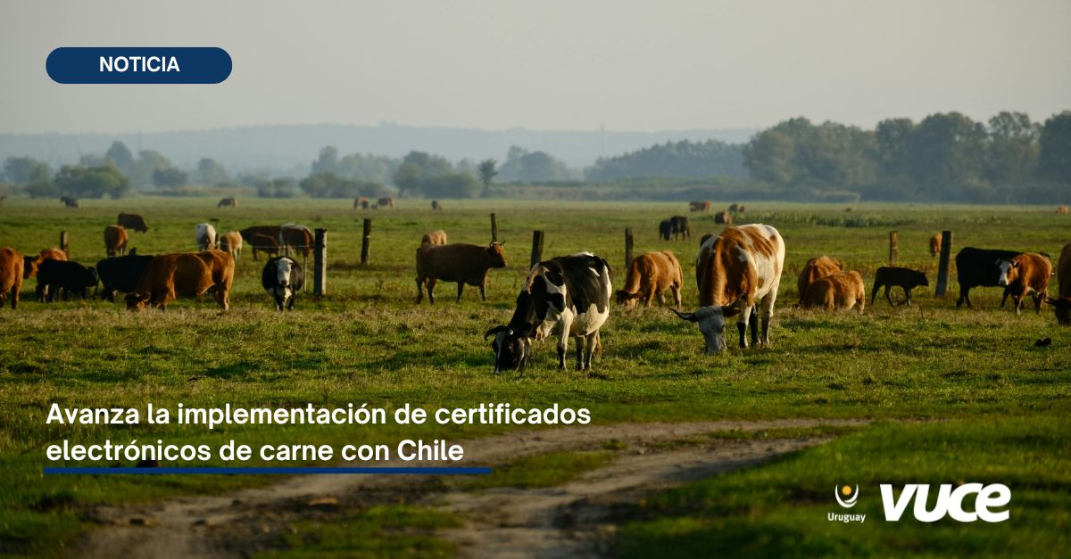 VUCE Uruguay tweet media