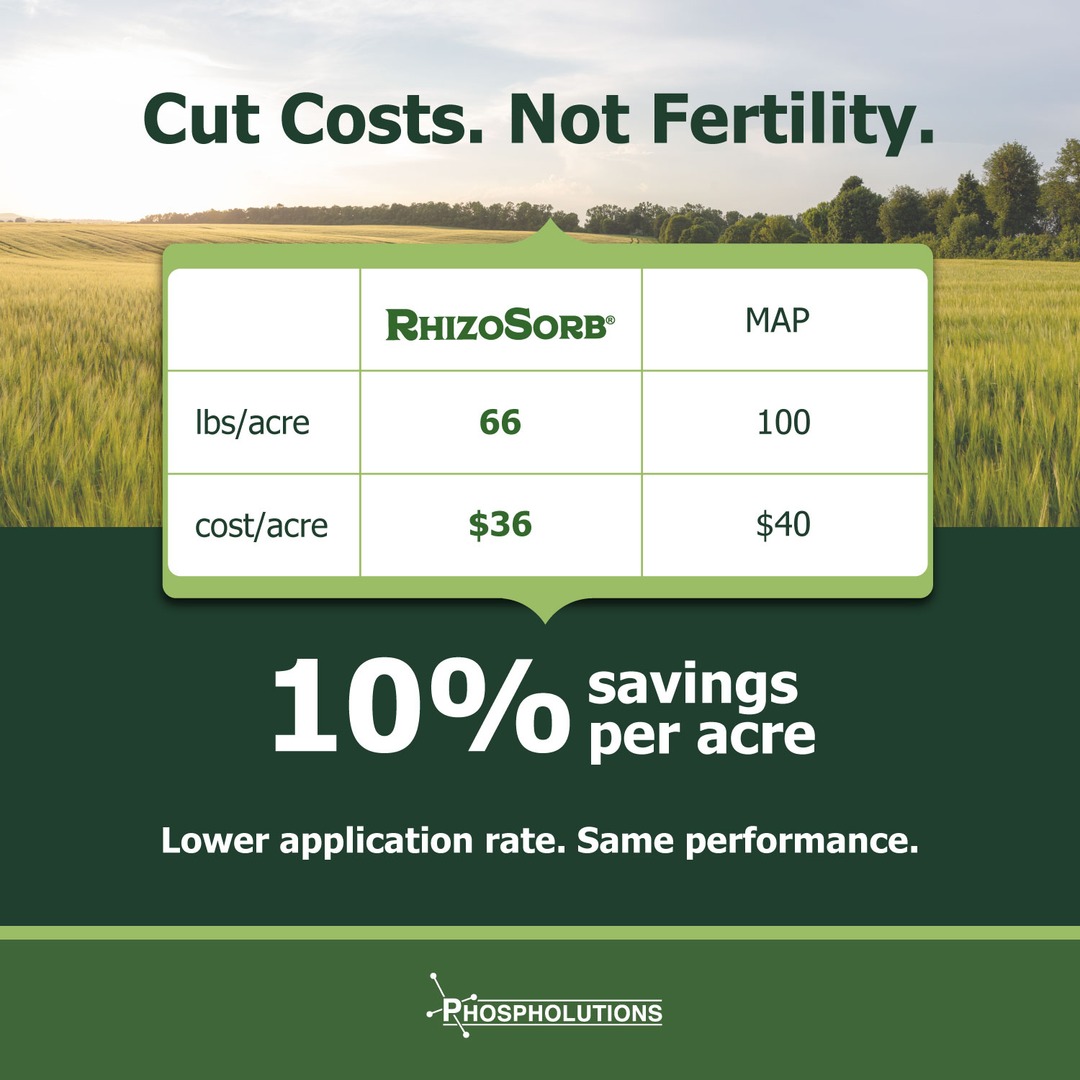 RhizoSorb's tweet photo. Same performance as MAP. Lower application rate. 10% savings per acre.

RhizoSorb® is the switch growers across North America are already making.

Cut costs. Not fertility. See the data: https://t.co/hGdAopygVM https://t.co/W7aioGFss3