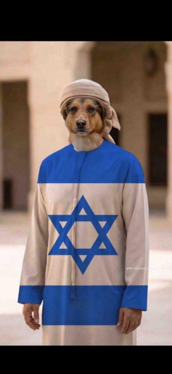 ✨Abdullah Saad✨ tweet media