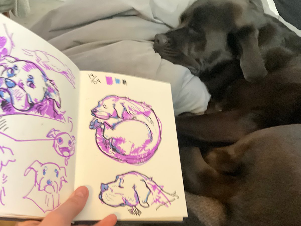 Raindoeart's tweet image. I drew my dog with them