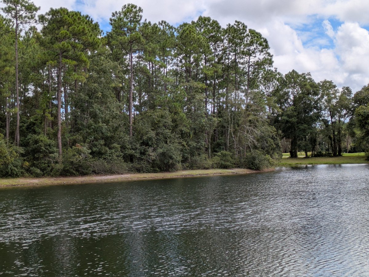 Michael Larson tweet media