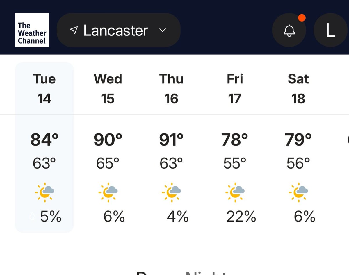 💯Lee Vivian💯 tweet media