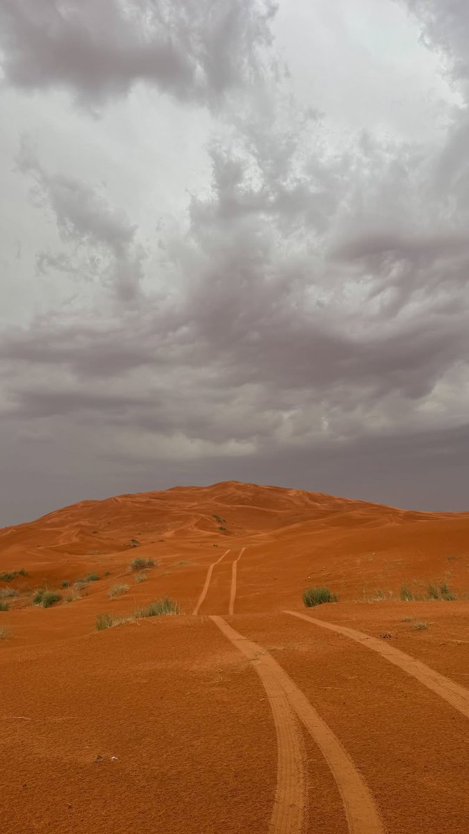 مشهور tweet media