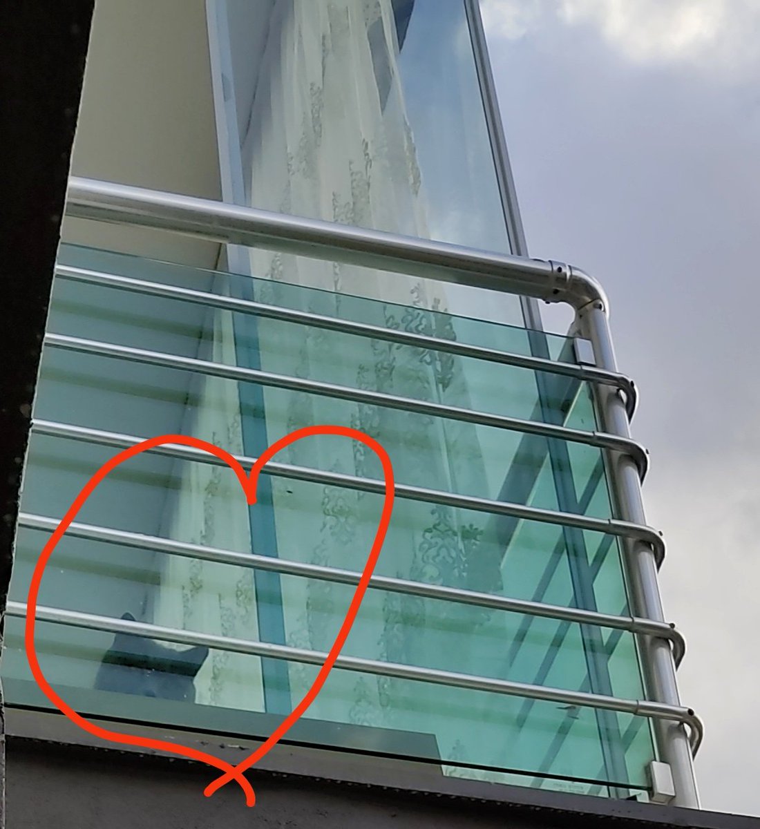 bencahilinsansevmiyorum tweet media