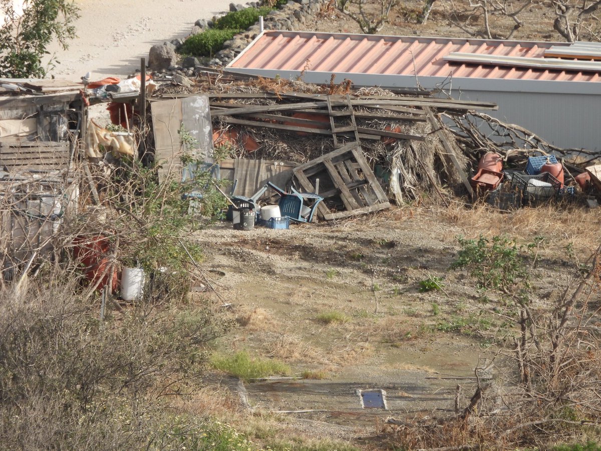 Committee Against Bird Slaughter (CABS) tweet media