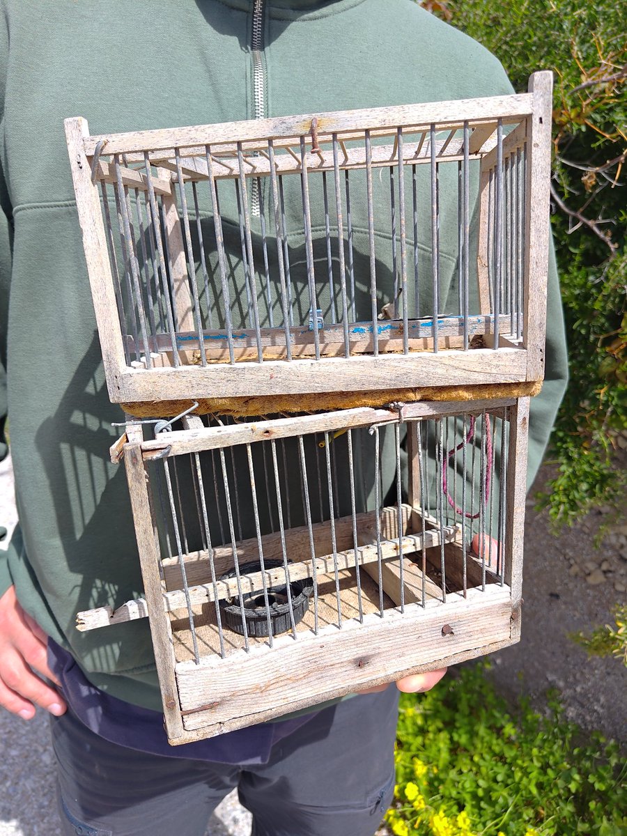 Committee Against Bird Slaughter (CABS) tweet media