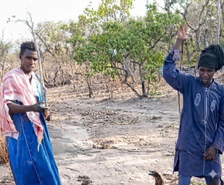 Abdulkudus Zino 😈 ☮️ tweet media