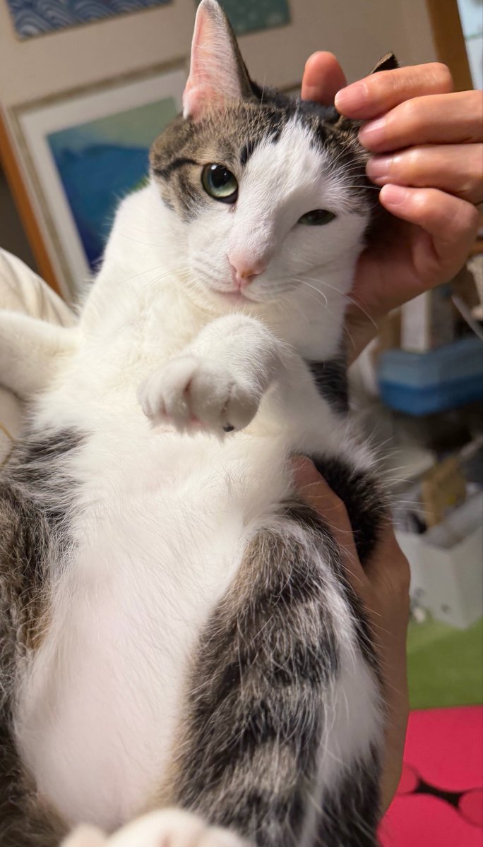 さねあつ tweet media