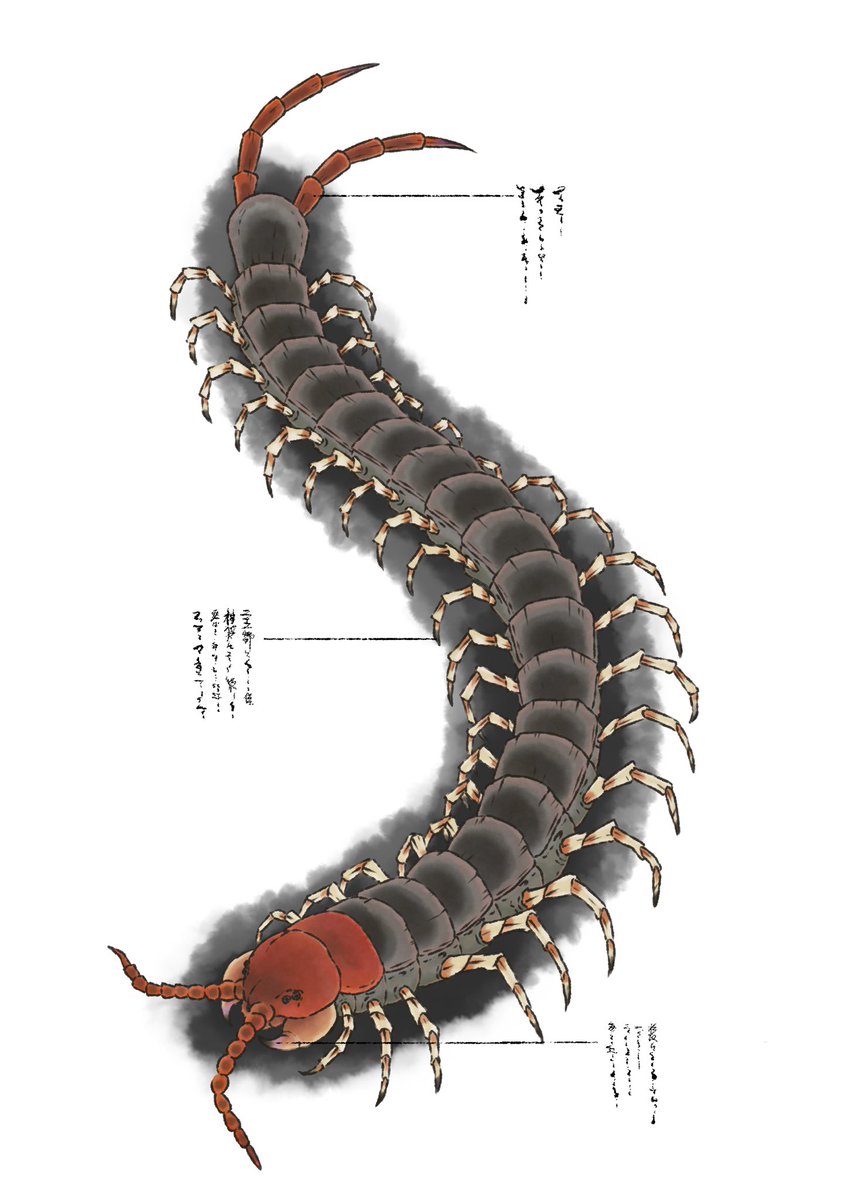 マリッジトキシン 第2話 ツイート画像 1