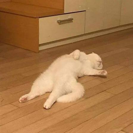 MARII🥟 tweet media