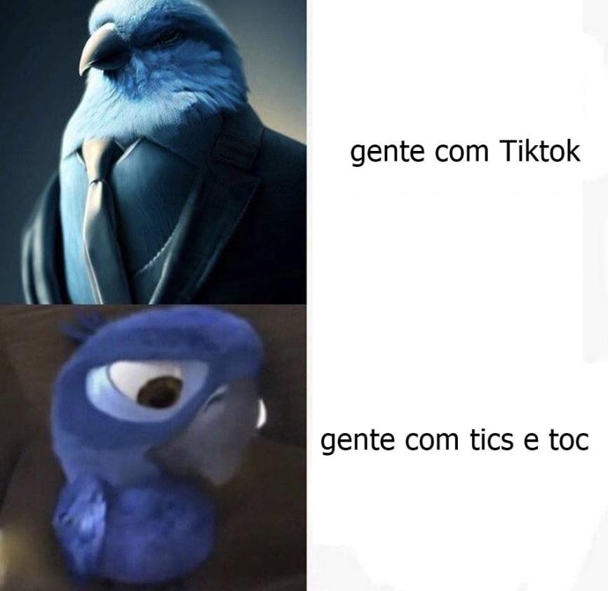 memes.jpeg tweet media